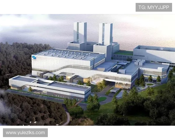 尊龙凯时集团：数字化转型助力企业提升竞争力的具体措施